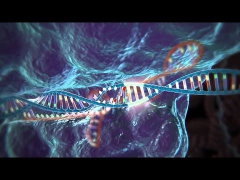 Gene ohne Grenzen - China erobert die DNA - Doku in HD