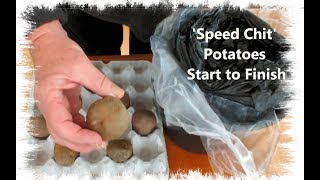 HGV Grow Potatoes 