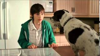 Vampire Dog (2012) Video