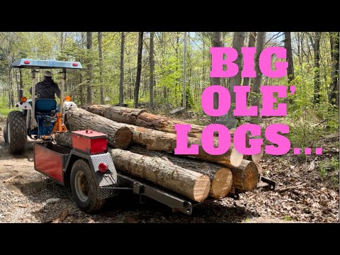 Moving big logs with the Kioti NX4510 and Worksaver grapple!!!
