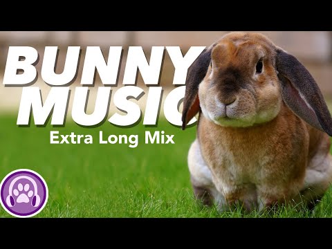 EXTREMELY RELAXING Music for Rabbits | 12 Hour Mix