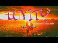 UNITY EXTENDED REMIX ALAN WALKER
