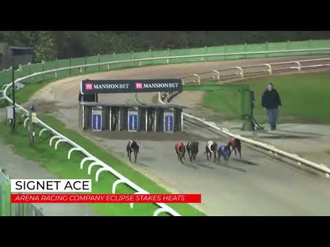 Signet Ace - Arena Racing Company Eclipse Stakes - Heat 1
