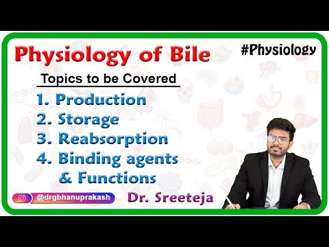 Physiology of Bile : Production, Storage, Reabsorption, Binding agents and Functions : Usmle Step 1