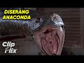 Anaconda 1 3 Diserang Anaconda Jennifer Lopez Ice Cube Jon Voight Owen Wilson ClipFlix