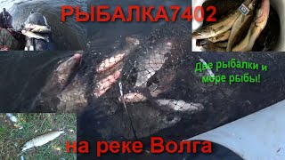 Ссылка