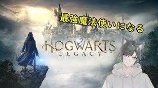 【ホグワーツ・レガシー】魔法学生になりました