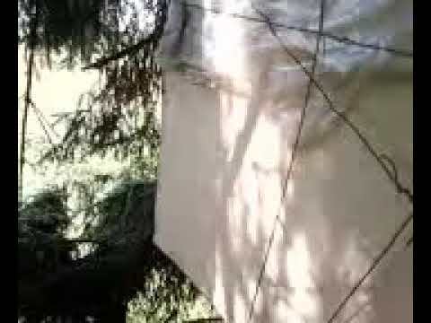 Пчеловодство.Роеловство. Как легко можно словить бродячий рой в ловушку из ДВП. #Пчеловодство