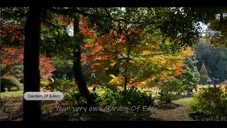 3 BHK Flat for Sale in Akurli Road Kandivali East, Mumbai