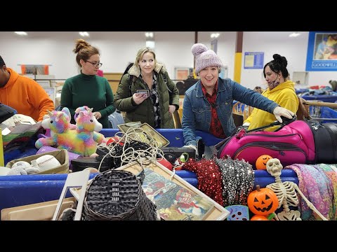 Is This the WEIRDEST Goodwill Bins Haul YET? I Grabbed Anything Worth $$$