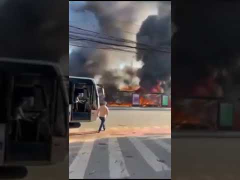 Avião de pequeno porte cai em avenida e atinge ônibus em SP #shorts