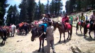 preview picture of video '125 KUFRI HIMALAYAN CITY SHIMLA VIEWS  by www.travelviews.in, www.sabkeralam.blogspot.in'