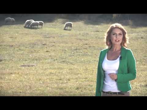 Agro karavan ep. 96 03.11.2019. Nova Varoš