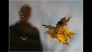 Красивая песняСнова осеньновинкашансон