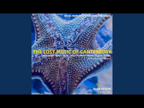 Alleluya “Veni electa mea”