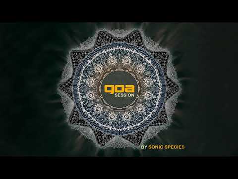 Brainiac, Burn in Noise - The Healer