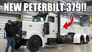 I Bought Another Peterbilt 379!!! NEW DAYCAB PROJECT ALERT!!!