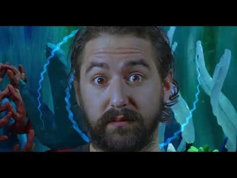 Theodor - Glades and Avenues