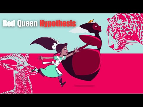Expressions Assignment - Red Queen Hypothesis