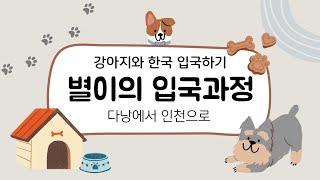 베트남 강아지 한국 입국 여정 (다낭에서 인천), 한국에서 항체검사하기