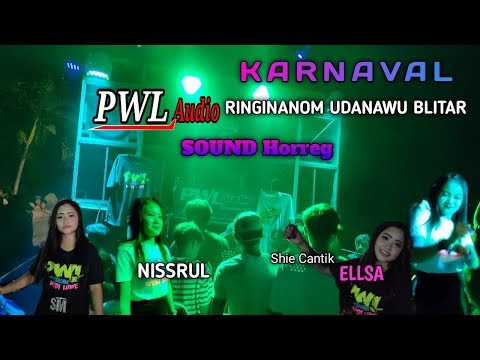 PWL SOUND SYSTEM KARNAVAL RINGINANOM UDANAWU BLITAR SOUND HORREG 2020