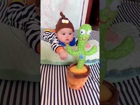 Cut Dancing Cactus toy #toy #dancingcactus #cactus