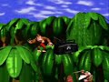 Dk Goes Wtf Boom