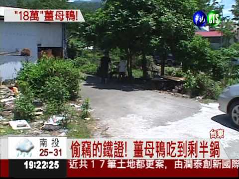 得不償失! 偷薑母鴨罰金18萬