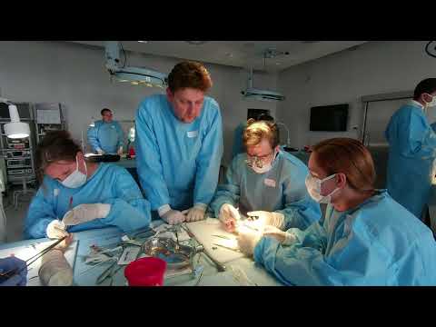 Kurs Polskiego Towarzystwa Chirurgii Ręki w Poznań Lab