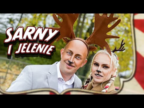 LETNI & Weź Nie Pytaj- SARNY I JELENIE