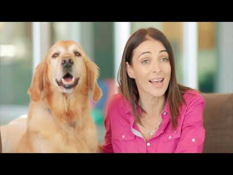 Why Do Puppies And Kittens Need Pet Insurance | Dr. Katrina Warren