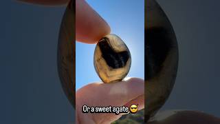 Download lagu Sometimes you can’t be to sure it’s an agate 😂 #agates #agate #agatehunting #rockhounding mp3
