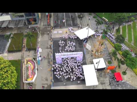 BGC Passionfest 2014