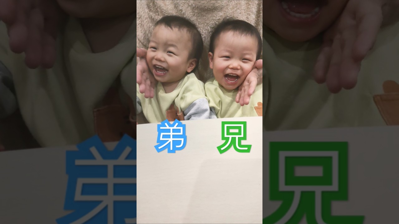 【デュエット】双子二重奏#Shorts