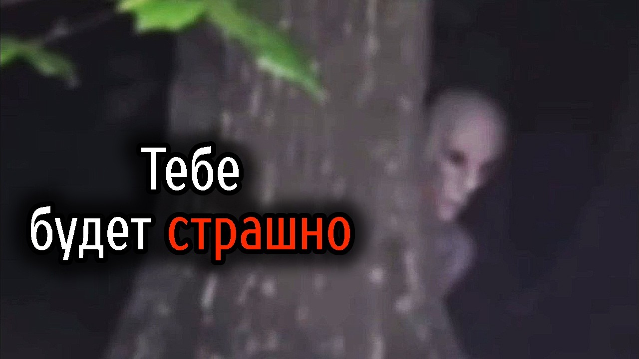 Самые Ужасные Видео со Всего Мира #126