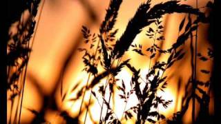 Consoul Trainin feat Joan Kolova - Stop