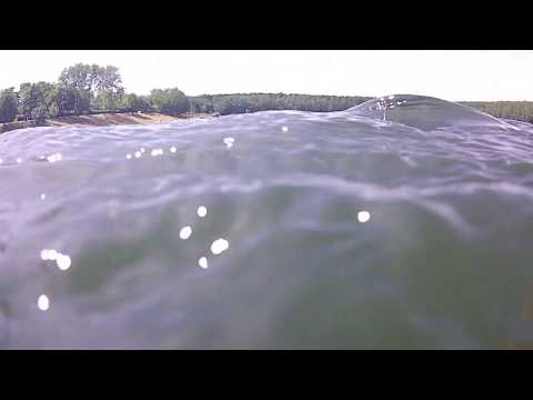 Pahna 2019 - ein Gewässer in Not!