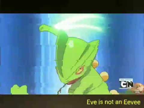 Pokemon AMV ~ 1 year anniversary!! ^^