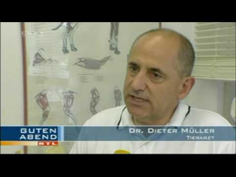 Osteochondrose mit Verengung der Bandscheibe Verletzung liquorodynamics Osteochondrose