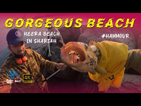 Fishing @ Hira Beach ,Sharjah , ഷാർജയിലെ സുന്ദരമായ ബീച്ചിൽ ഫിഷിങ്