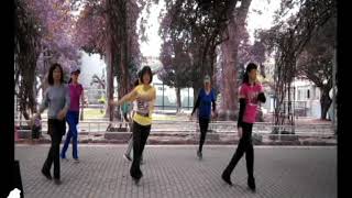 YUE LIANG 月亮代表我的心 - Line Dance (Pipit Bandung)