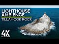 12 HRS Ambient Ocean Sound Seagulls Squawking For Work And Sleep 4K Tillamook Rock Lighthouse