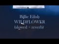 Billie Eilish Wildflower Perfectly Slowed Reverb Ethereal