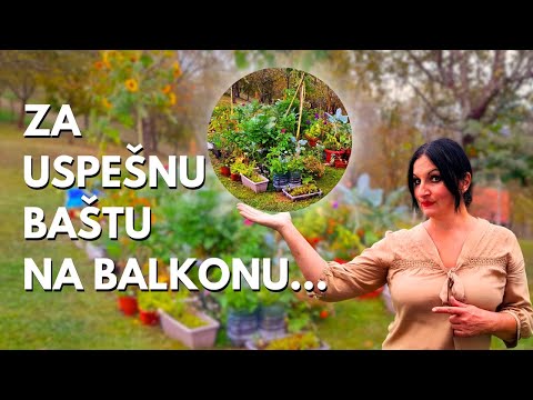 7 CONDITIONS for a SUCCESSFUL BALCONY GARDEN