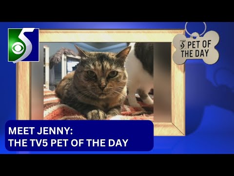 Pet of the Day: Meet Jenny