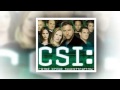 CSI Lasvegas Seasons 1 13 DVD Boxset