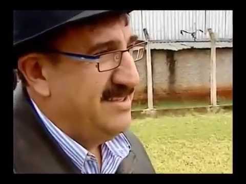 AS SETE VIDAS DE RATINHO