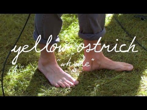 Yellow Ostrich - WHALE | The Wild Honey Pie Welcome Campersmpers