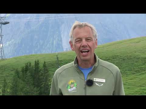 Alles über die Haltung der Bären im Arosa Bärenland