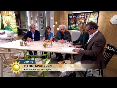 Nyhetspanelen om USA-valet: "Partierna fungerar inte längre" - Nyhetsmorgon (TV4)